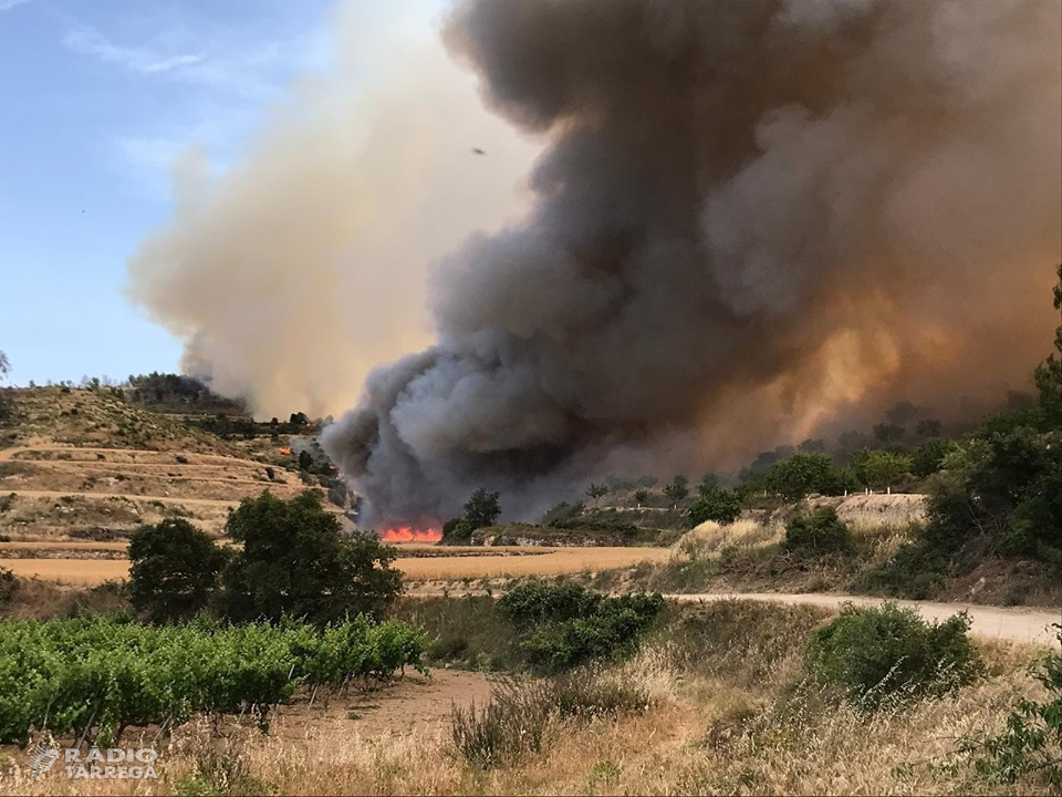 L'incendi que crema 30 hectàrees de vegetació forestal i agrícola entre Nalec i Rocafort evoluciona favorablement