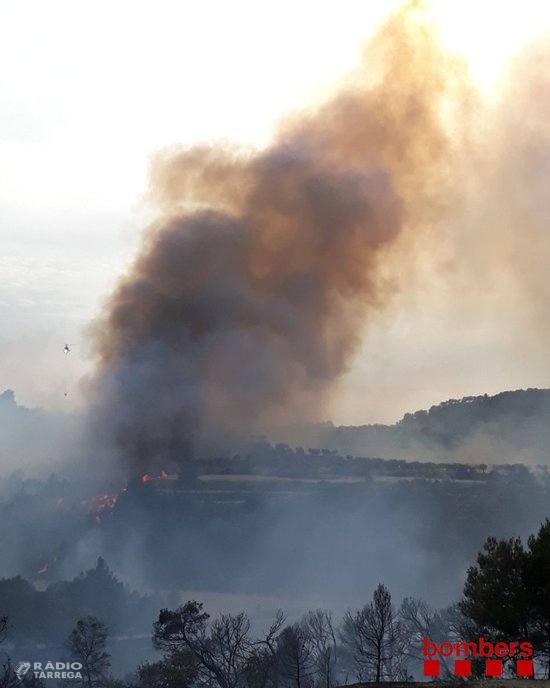 Estabilitzat l'incendi que cremava 30 hectàrees de vegetació forestal i agrícola entre Nalec i Rocafort