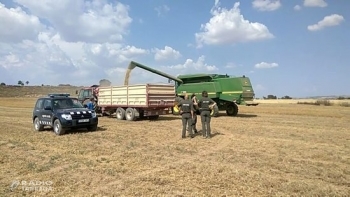 Protecció Civil rebaixa a ALERTA el pla INFOCAT un cop estabilitzat l'incendi de la Ribera d'Ebre, i es dóna per finalitzada la prohibició de sega