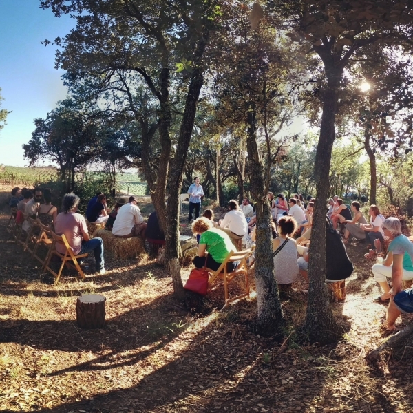 Torna el festival Comalada Art & Paraula a les vinyes del Celler Comalats