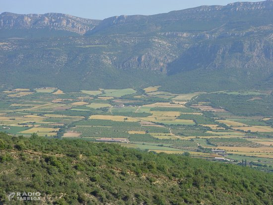 Els paisatges agrícoles amb parcel·les petites i variades fomenten la biodiversitat