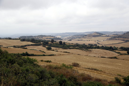 Els incendis durant la campanya de la sega del cereal es redueixen un 80% a Catalunya des del 2012