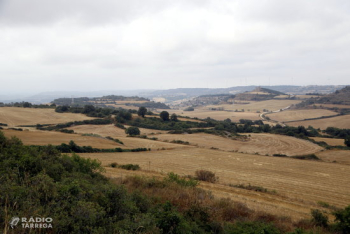 Els incendis durant la campanya de la sega del cereal es redueixen un 80% a Catalunya des del 2012