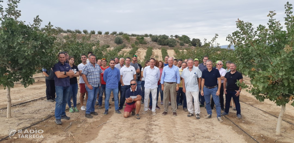 Borges Agricultural & Industrial Nuts i la Cooperativa d’Ivars visiten les finques pilot del projecte Pistatxo amb 45 pagesos