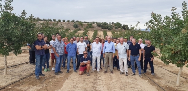 Borges Agricultural & Industrial Nuts i la Cooperativa d’Ivars visiten les finques pilot del projecte Pistatxo amb 45 pagesos