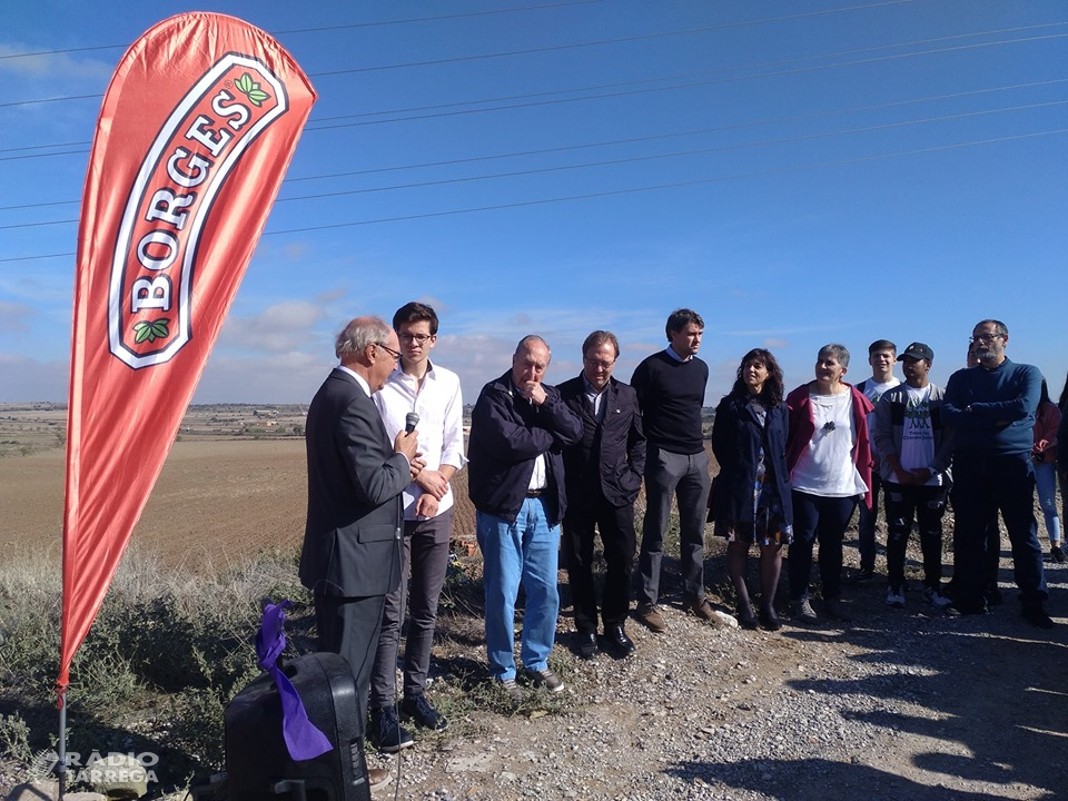 L’Associació Alba de Tàrrega celebra la 3ª Jornada de Llavors de futur