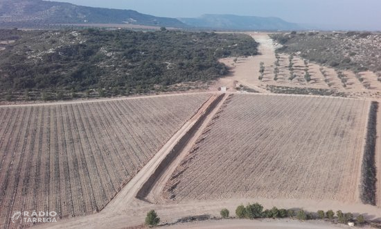 Agricultura avança en l'execució del reg del Segarra-Garrigues amb el lliurament de 513 escriptures a Castelldans