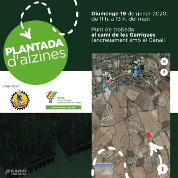 BTT Tàrrega i GEMA organitzen una plantada d'alzines a les zones ermes del canal Segarra Garrigues al seu pas per Tàrrega