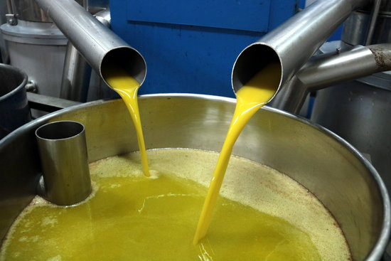 Unió de Pagesos exigeix al Ministeri que sol·liciti mesures excepcionals per a la greu crisi de preus de l'oli d'oliva
