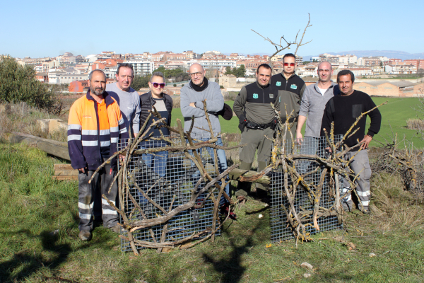 Instal·len dos nius de cigonya als afores de Tàrrega, vora la ribera de l’Ondara
