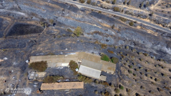 Prohibit fer foc al bosc a partir de diumenge