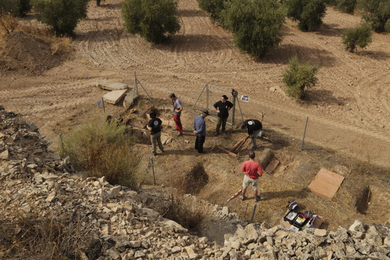 Les excavacions al jaciment experimental de Sant Martí de Maldà, a l'Urgell, finalitzen amb dues exhumacions animals
