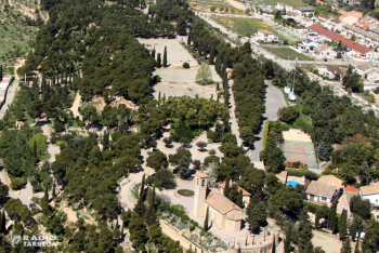 La Festa de l'Arbre i l'Assemblea General de socis dels Amics de l'Arbre de Tàrrega, ajornades pel coronavirus