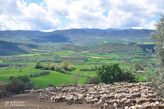 Es prorroga el termini per presentar la sol·licitud dels ajuts i tràmits a la DUN 2020