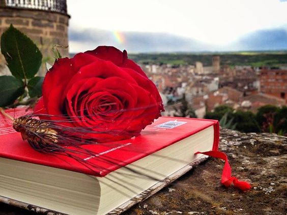ÀUDIO Tàrrega viu el seu Sant Jordi diferent