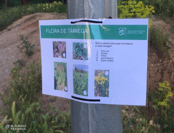 L'Agrupament Mestre Güell Roger de Llúria de Tàrrega penja cartells amb reptes per fer més divertida la sortida al carrer dels infants