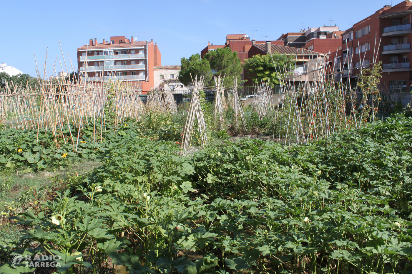 L’Ajuntament de Tàrrega ajorna fins l’any vinent el programa d’horts urbans a causa de la pandèmia