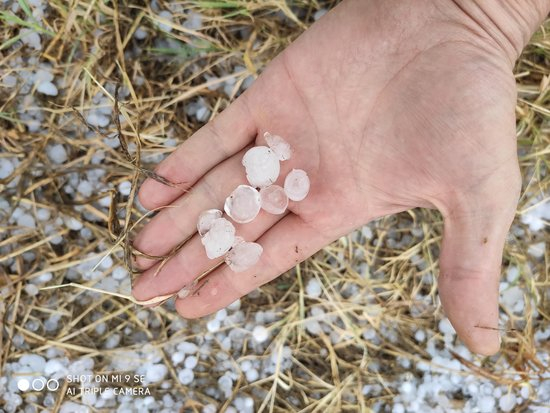 Les tempestes amb pedra caigudes aquest dimecres es van repartir de forma irregular per diferents municipis de Ponent