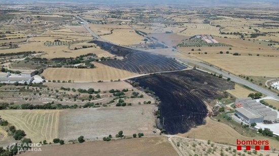 Cremen 8,4 hectàrees agrícoles en un incendi a Cervera