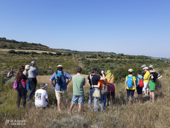 Els museus de Guissona, la Noguera i Tàrrega atansen l’arqueologia a la gent