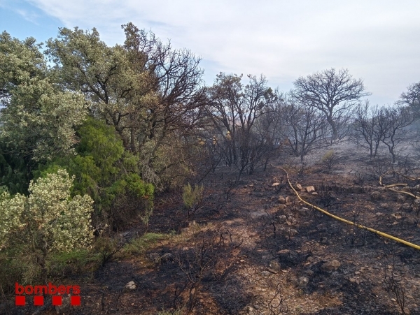 Un incendi crema poc més de 5 Ha de terreny agrícola i forestal a Agramunt