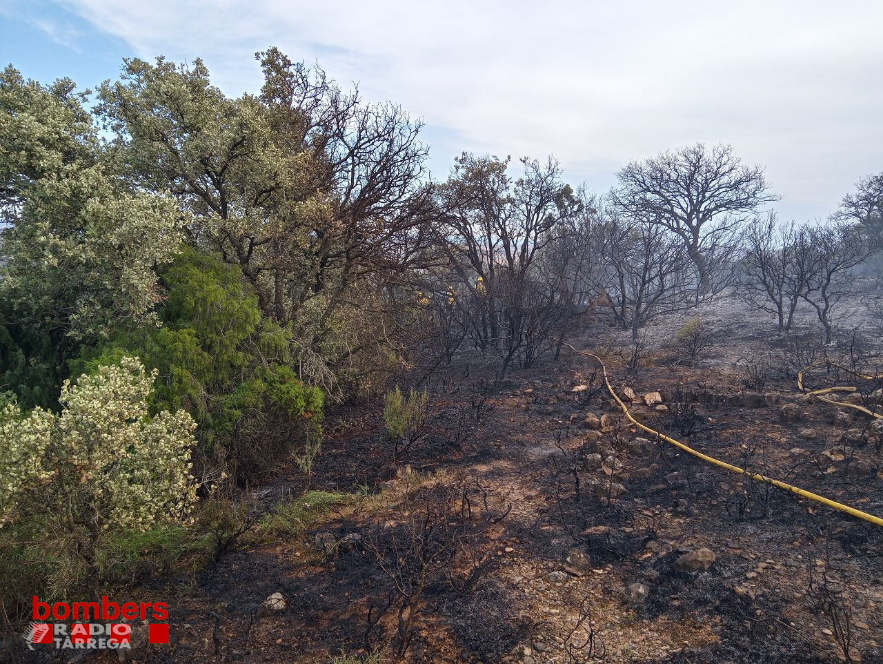 Un incendi crema poc més de 5 Ha de terreny agrícola i forestal a Agramunt