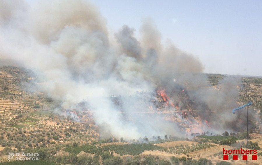 El risc d'incendi a Lleida se situa en el nivell més baix de les últimes dues dècades en l'inici de la campanya forestal