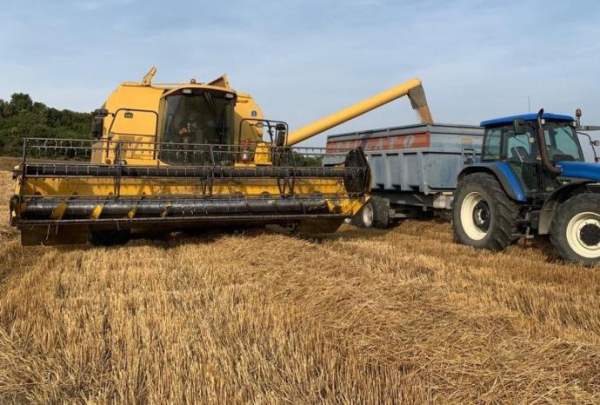 Agricultura finalitza el pagament d'ajuts directes de la PAC 2019 després d'abonar 1 MEUR a agricultors i ramaders