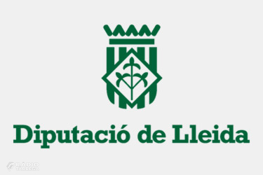 La Diputació elabora una enquesta per conèixer l’estat de situació tecnològica dels ajuntaments i les comarques de Lleida