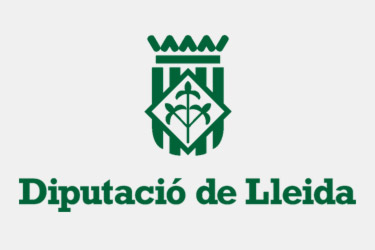 La Diputació elabora una enquesta per conèixer l’estat de situació tecnològica dels ajuntaments i les comarques de Lleida