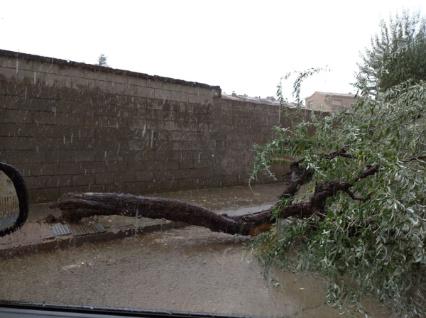 Tàrrega recull 24,3 l/m2 en mitja hora durant la tempesta d'aquest migdia