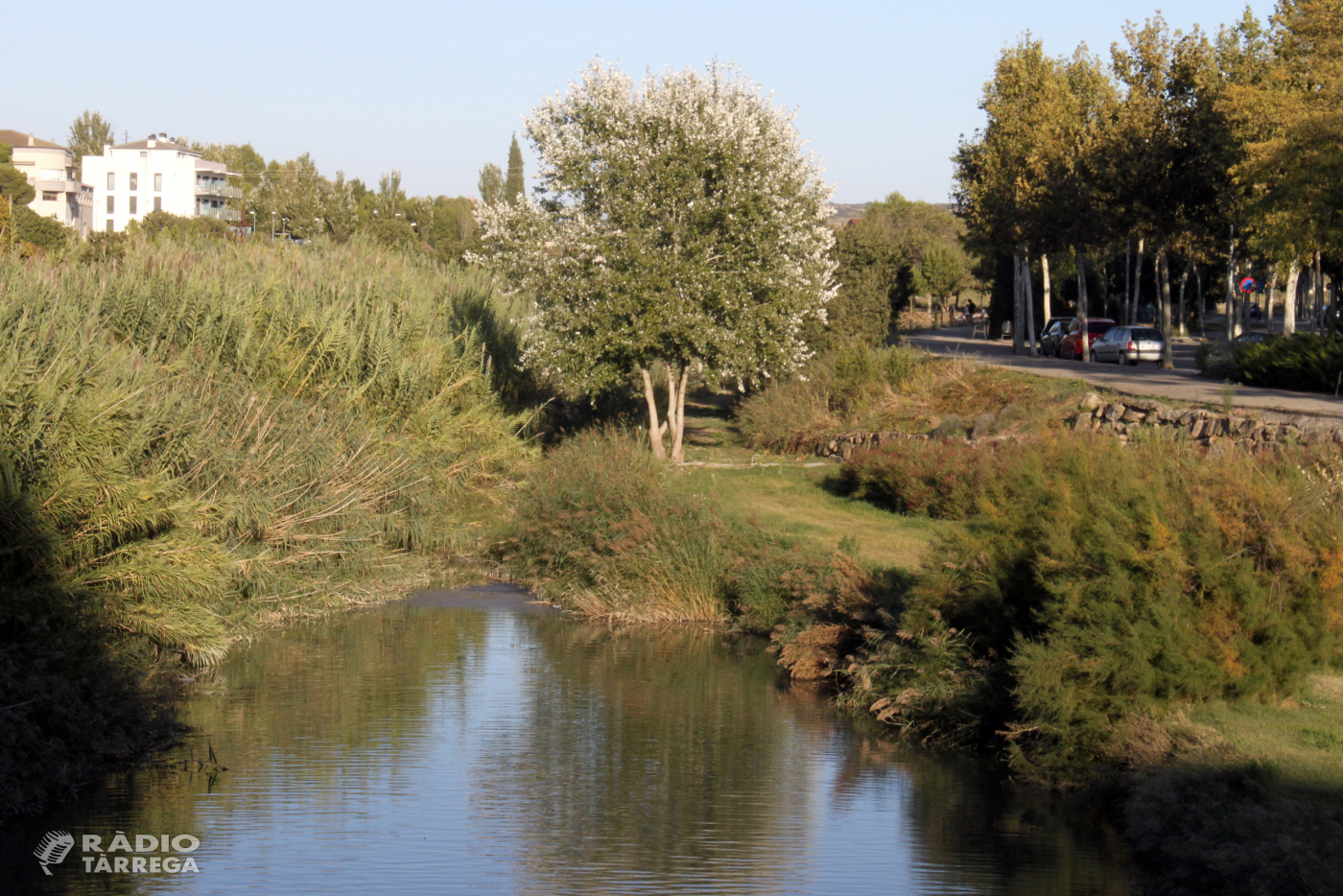 L’Ajuntament de Tàrrega aprova un nou projecte de recuperació dels espais verds situats a la llera del riu Ondara