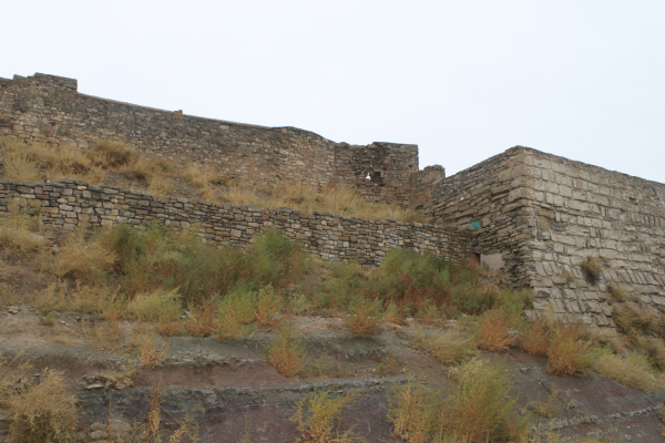 Tàrrega aprova un conjunt d’accions urgents per restaurar i preservar el mur sud del castell