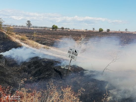 Els Bombers extingeixen un incendi agrícola entre Belianes i Vilanova de Bellpuig que ha cremat 12,9 hectàrees