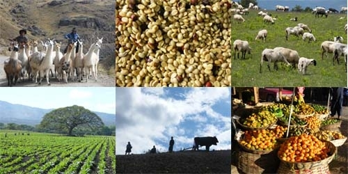 Alimentació, agricultura i ramaderia, els sectors lleidatans que confien resistir millor la crisi de la covid-19