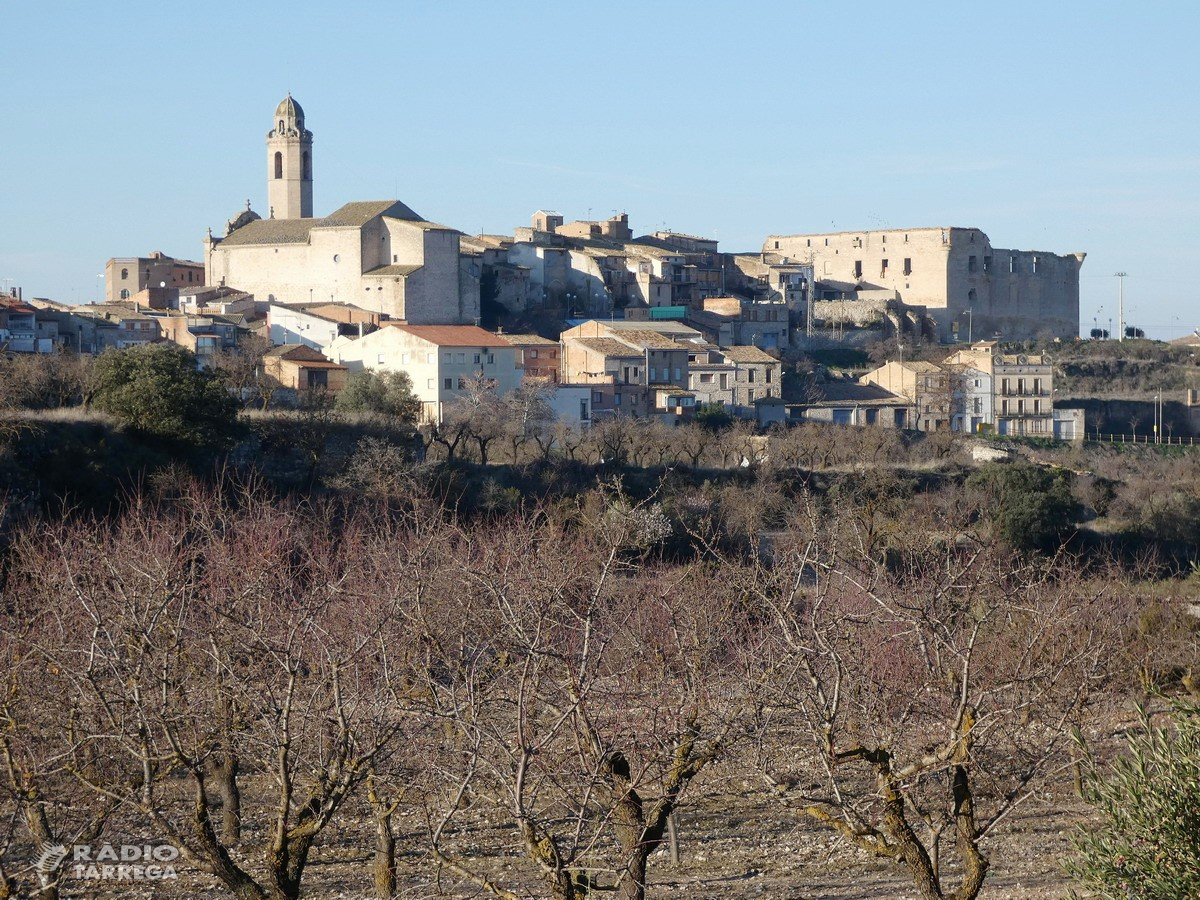 6 pobles de l'Urgell sense telèfon ni internet per un nou robatori de cable