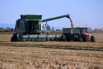 Agricultura abona el 70% dels imports dels ajuts directes de la PAC 2020 que ascendeixen a 160 MEUR