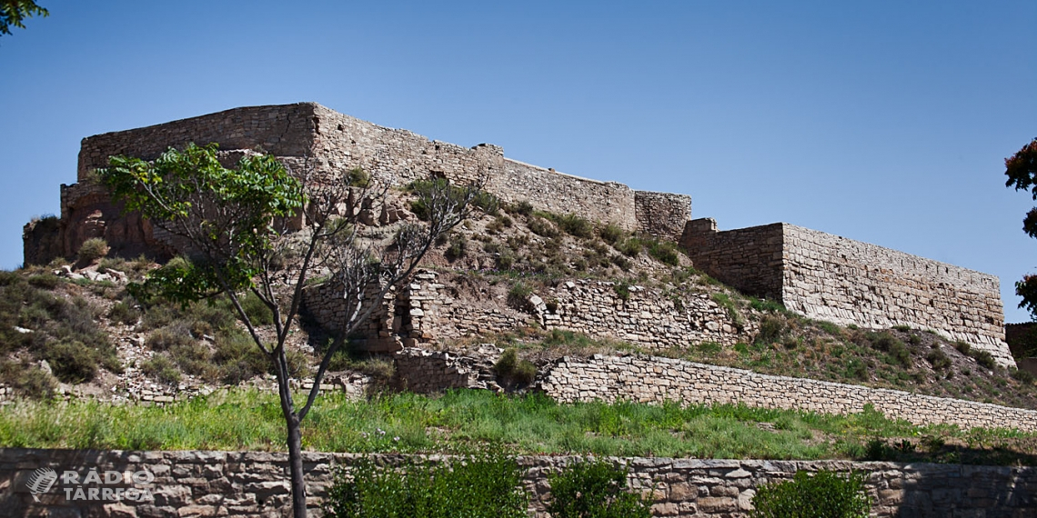 Nous descobriments en la darrera campanya d'excavació del Castell de Tàrrega