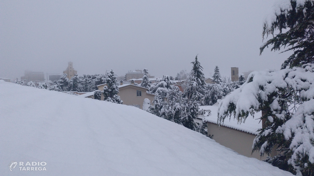 Tàrrega acumula 13 centímetres de neu aquesta nit