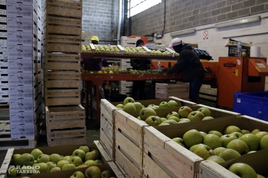 Afrucat preveu que les existències de poma a les cambres catalanes s'esgotaran abans de l'estiu