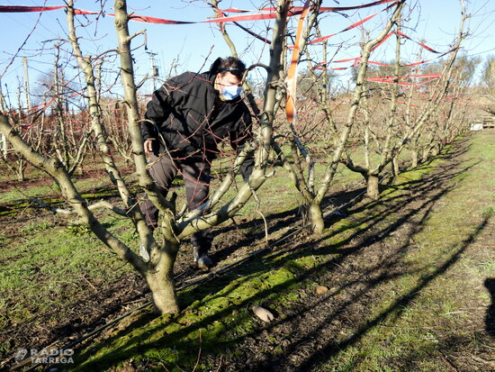 El fred i la neu de les darreres setmanes ajudaran a millorar la producció de cereals i fruiters