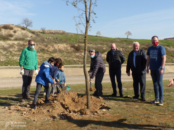 Canal Viu celebra els seus cinc anys de vida amb una plantada d'alzines a Castellserà