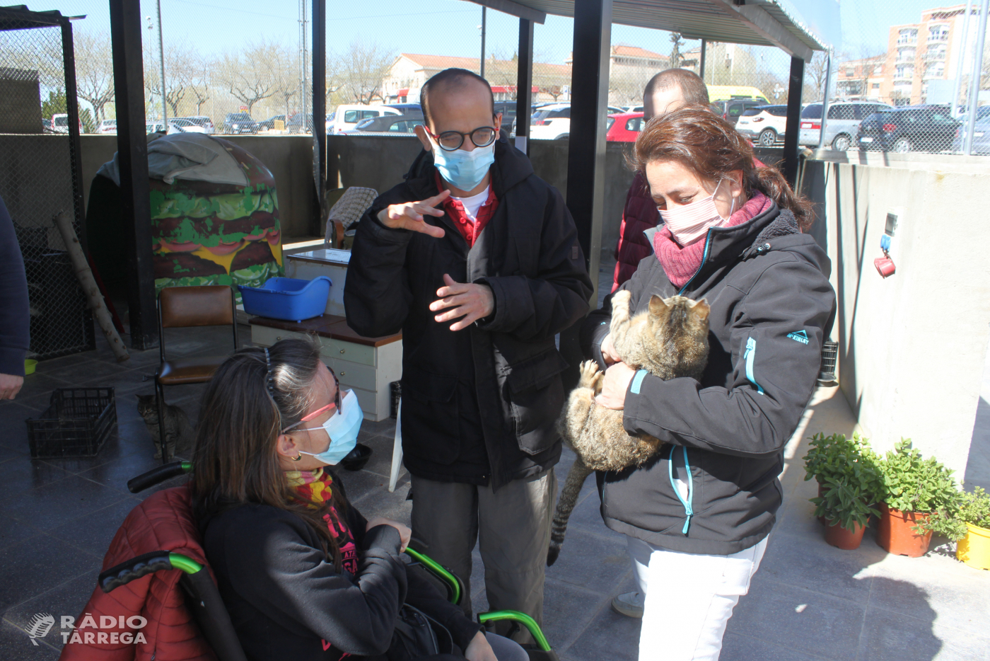L’Ajuntament de Tàrrega posa en marxa el centre d’acollida temporal de gats perduts i abandonats