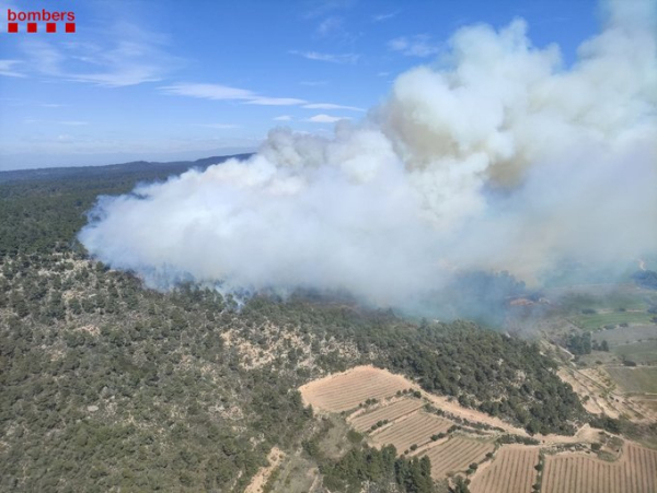 L'incendi forestal de Senan mobilitza una trentena de dotacions de Bombers i afecta més de 20 hectàrees