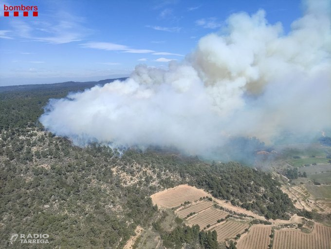 L'incendi forestal de Senan mobilitza una trentena de dotacions de Bombers i afecta més de 20 hectàrees