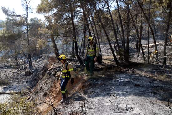 Els Bombers esperen controlar aquest dilluns l'incendi de Senan, que afecta més de 40 hectàrees