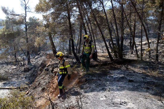 Els Bombers esperen controlar aquest dilluns l'incendi de Senan, que afecta més de 40 hectàrees