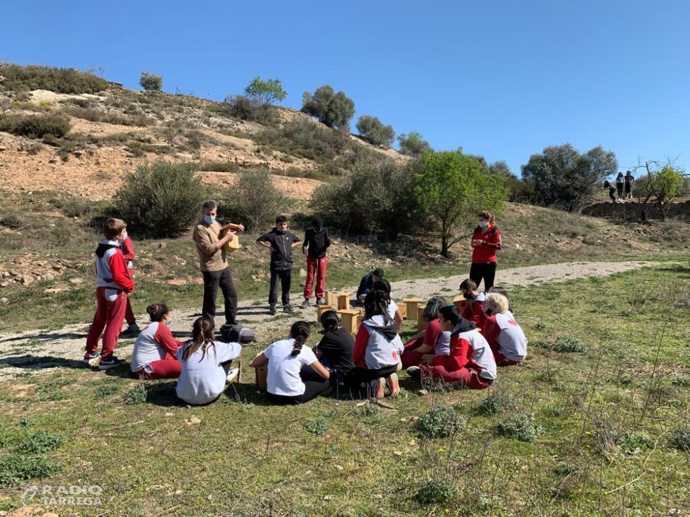 Alumnes de Tàrrega descobreixen l’entorn més proper al Pla de Lluçà