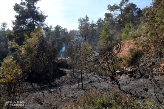 Els Mossos d’Esquadra denuncien un home per un delicte d’incendi per imprudència greu