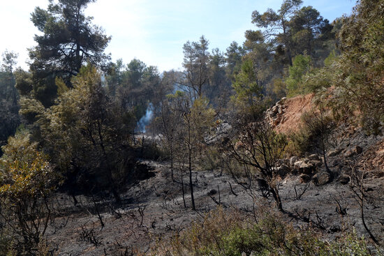 Els Mossos d’Esquadra denuncien un home per un delicte d’incendi per imprudència greu